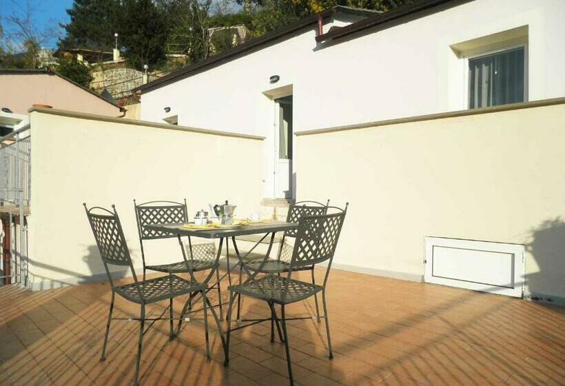 استودیوی استاندارد, Costa Morroni