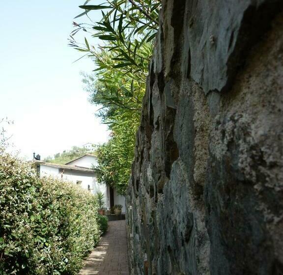 استودیوی استاندارد, Costa Morroni