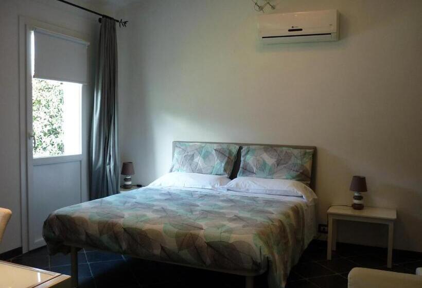 Studio Standard, Costa Morroni