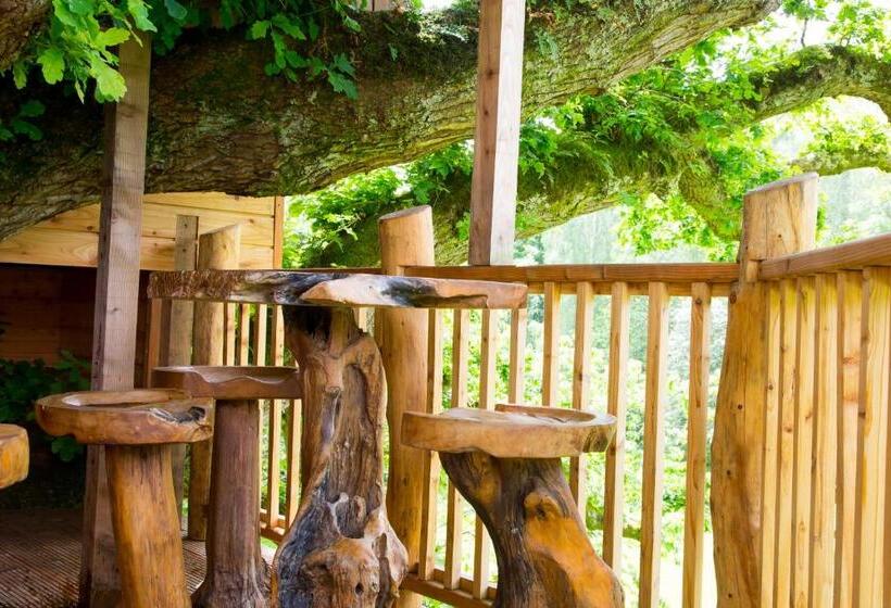 ویلای لوکس 1 خوابه, Fox & Hounds Country