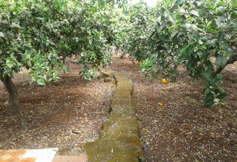 Дом 1 Спальня, La Mimosa Case Vacanze