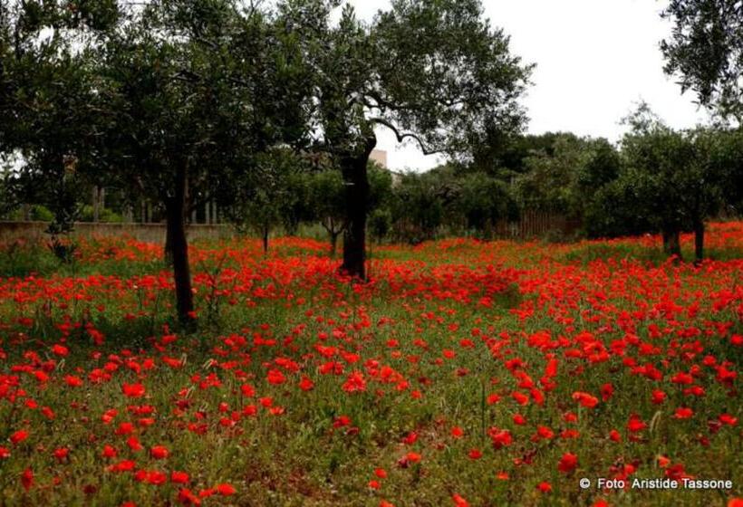 Дом 1 Спальня, La Mimosa Case Vacanze