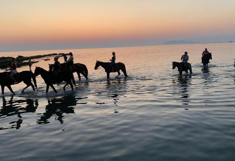 Дом 1 Спальня, La Mimosa Case Vacanze