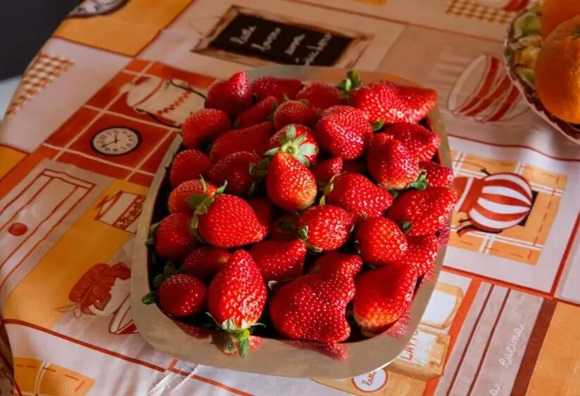 ویلای 3 خوابه, La Mimosa Case Vacanze