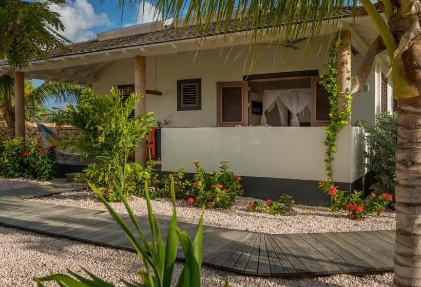 آپارتمان 1 خوابه, Windhoek Resort Bonaire