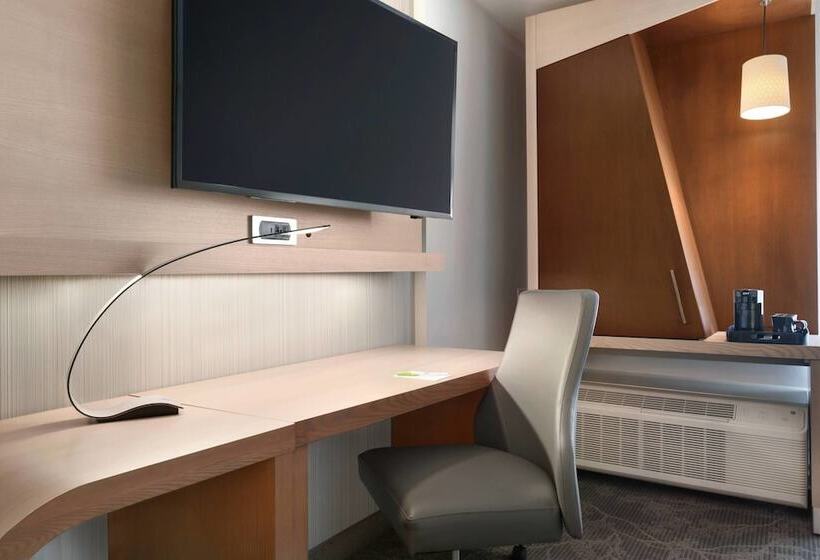 Standard Studio, Courtyard By Marriott Toronto Mississauga/west