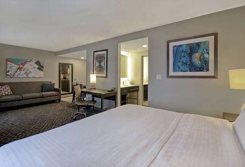 스탠다드 룸 킹사이즈 침대, Embassy Suites By Hilton New York Manhattan Times Square