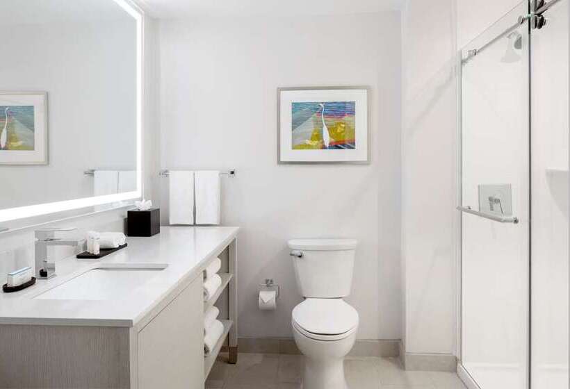 스탠다드 룸 킹사이즈 침대, Embassy Suites By Hilton New York Manhattan Times Square