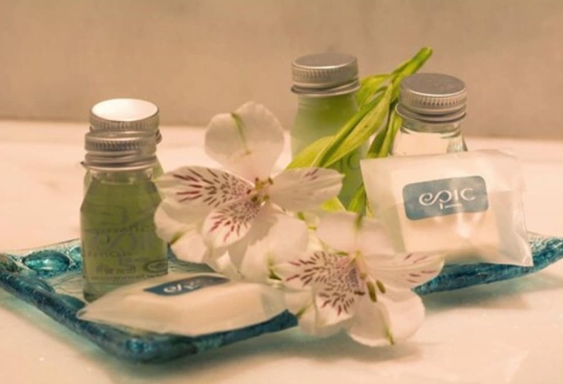 标准间, Epic Hotel Villa De Merlo