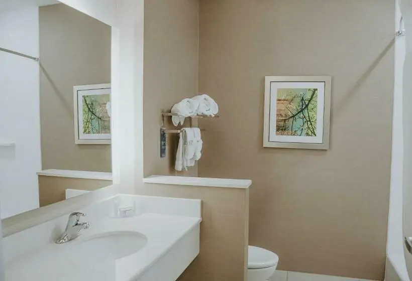 Standard-huone, Fairfield Inn & Suites By Marriott Lincoln Airport