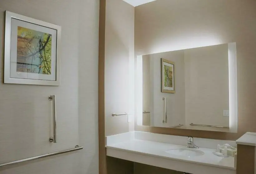 Standard-huone, Fairfield Inn & Suites By Marriott Lincoln Airport