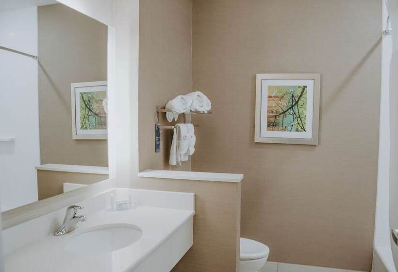 Люкс, Fairfield Inn & Suites By Marriott Lincoln Airport