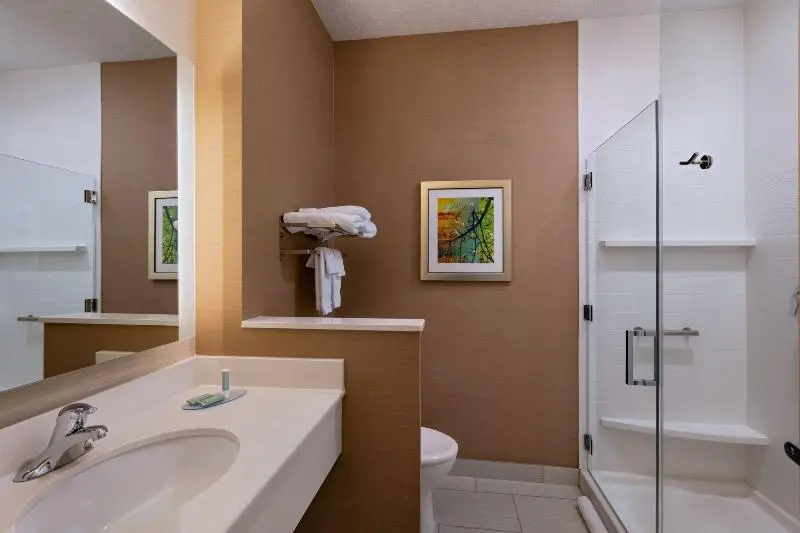 Sviitti King-vuode, Fairfield Inn & Suites By Marriott Lincoln Airport