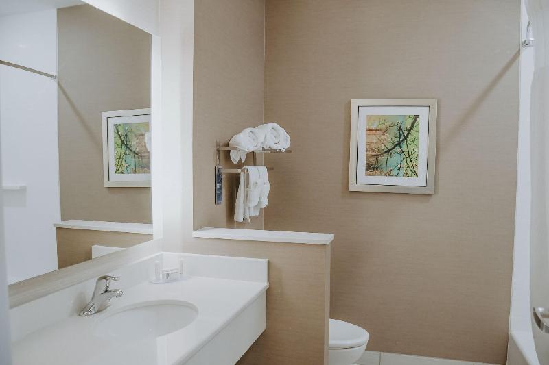 Люкс Кровать Кинг, Fairfield Inn & Suites By Marriott Lincoln Airport