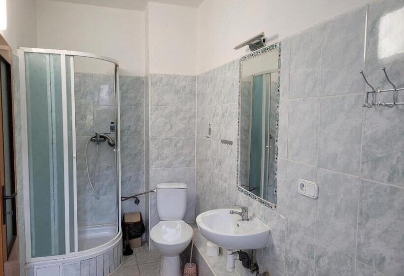 带1个卧室的公寓, Studentská Apartments