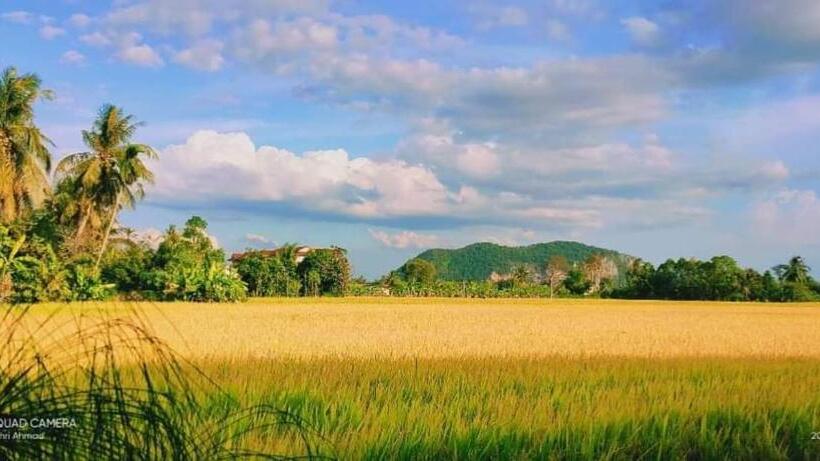 Одноместный Номер Вид на Сад, Bungalow Mat Hj Limah