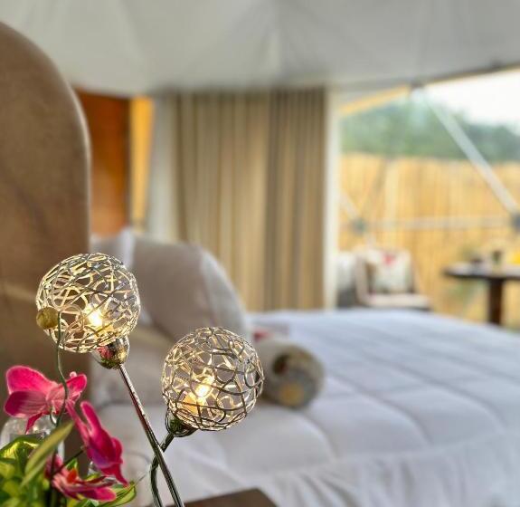 سوییت, Miski Samay Domo Boutique