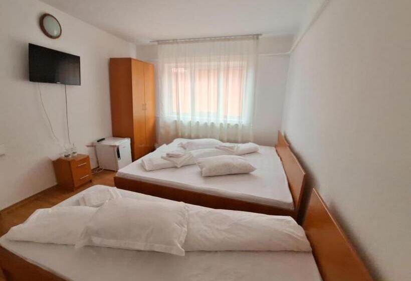 Номер Стандарт Трехместный, Pensiunea Trei Brazi