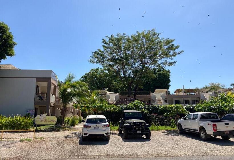 Апартаменты 2 Спальни, Flor De Limon 2