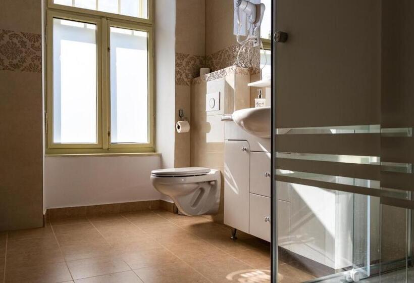 شقة سوبريور غرفة واحدة, Melik