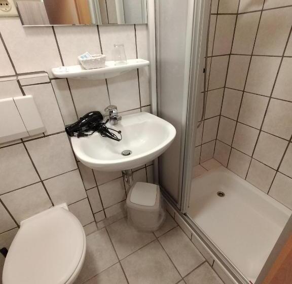 غرفة قياسية فردية, Gasthof Zu Den Linden 61225