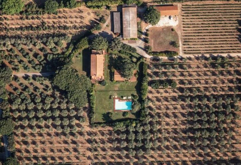 Номер Deluxe, Bb Villa Bolgheri Mare