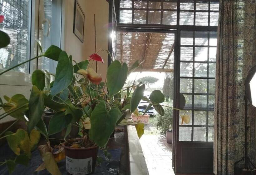 شقة غرفة نوم واحدة بالطابق الأرضى, Bb Villa Bolgheri Mare