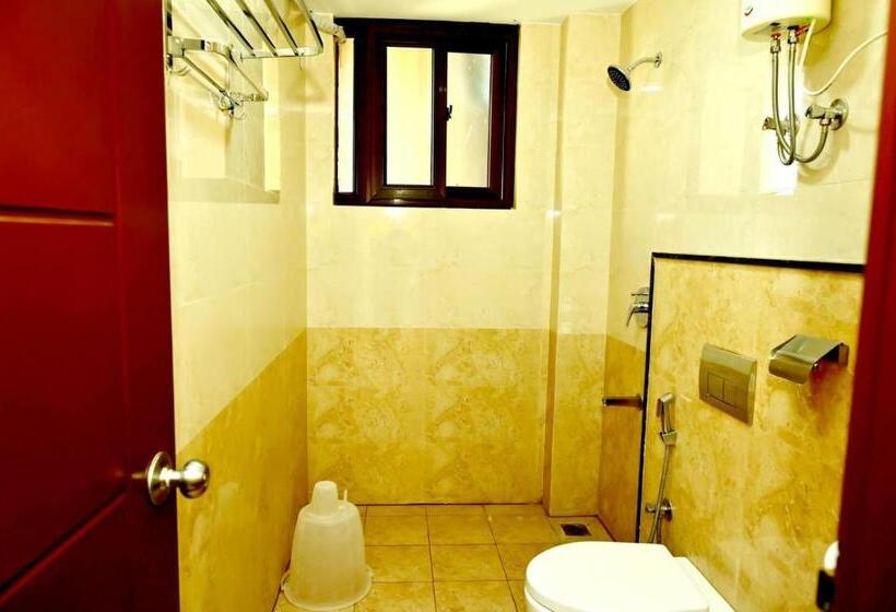 Номер Стандарт, Downtown Pr Groups Raashi Residency