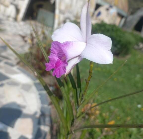 חדר סטנדרט, Cabaña Campestre Bhumi