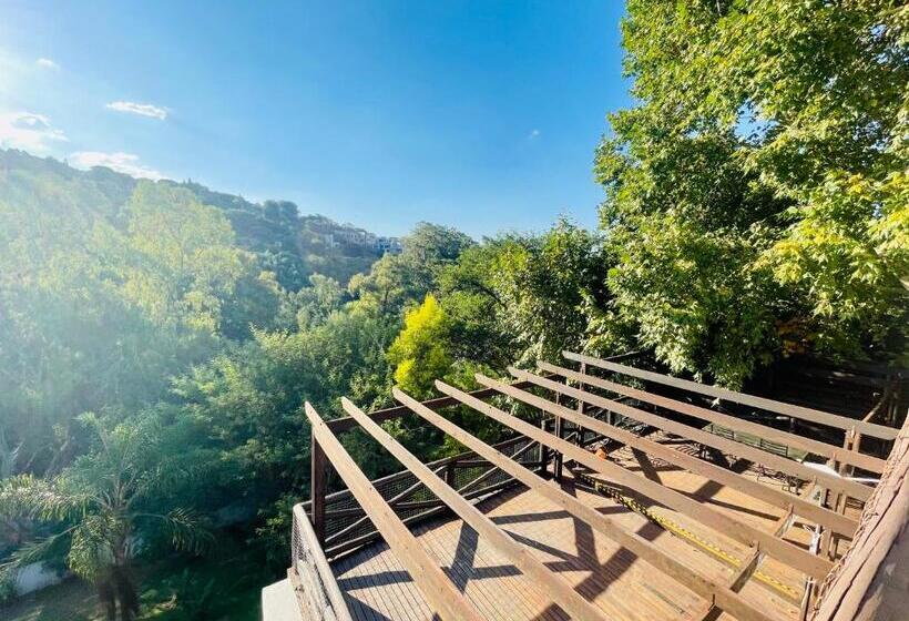 프레지덴셜 스위트, Pretoria Mansion Coral Tree Inn