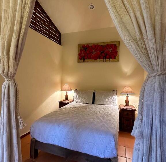 带花园景观的标准工作室, La Quinta