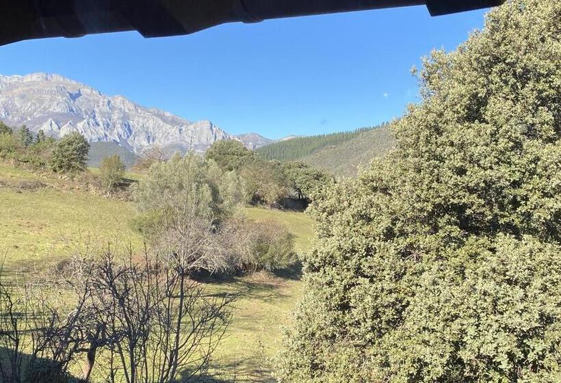 Juniorsvit med Terass, Apartamentos Calm & Nature   Adults Only