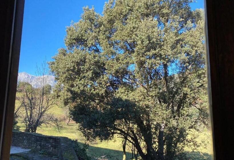 Juniorsvit med Terass, Apartamentos Calm & Nature   Adults Only