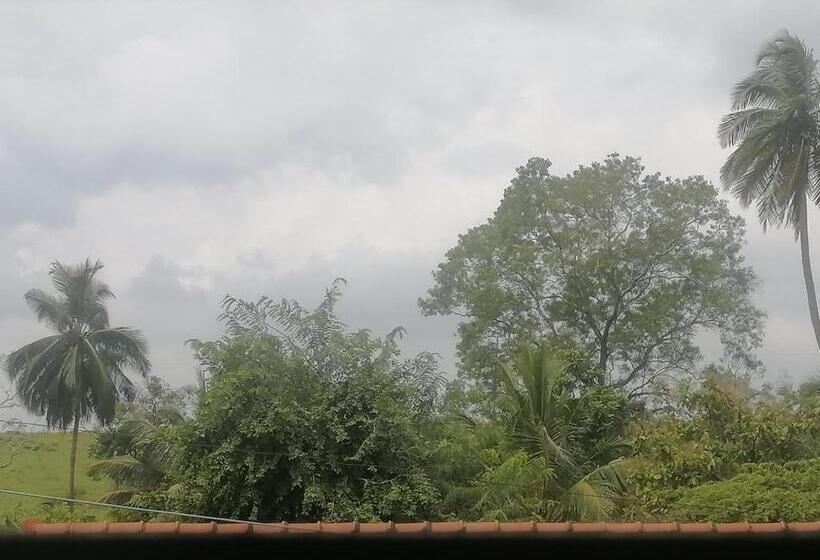 Номер Deluxe, Sunshine Guest House