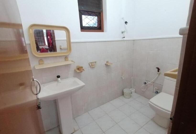 Номер Deluxe, Sunshine Guest House