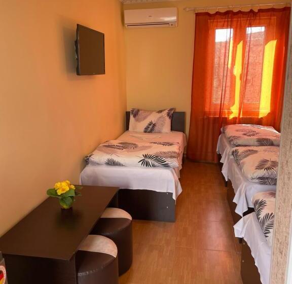 Camera Tripla Basic, Zangu