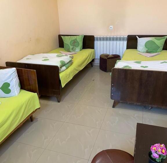 Camera Tripla Basic, Zangu