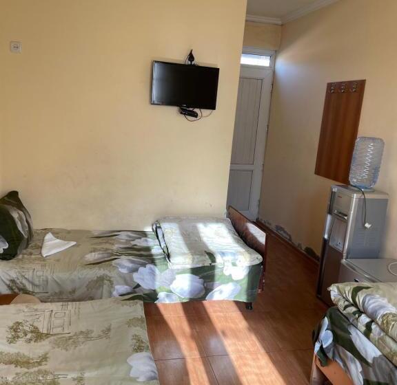 Camera Tripla Basic, Zangu