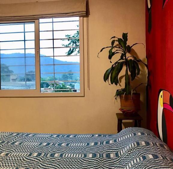 标准间带游泳池, Hostel House Casa De Los Pájaro