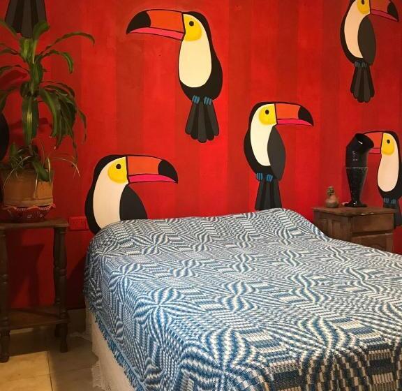 标准间带游泳池, Hostel House Casa De Los Pájaro