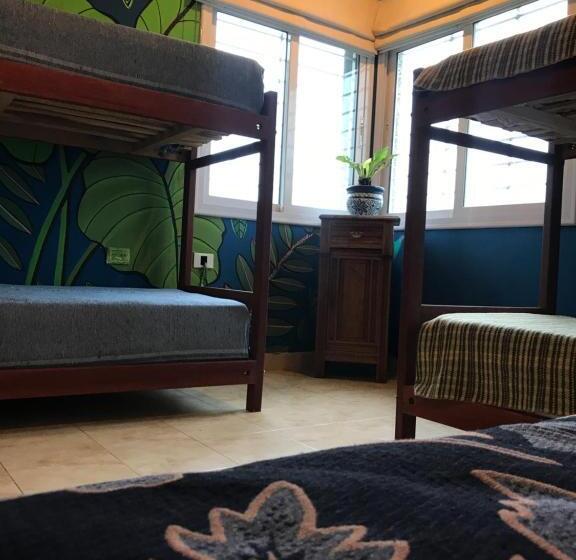 四人标准间, Hostel House Casa De Los Pájaro