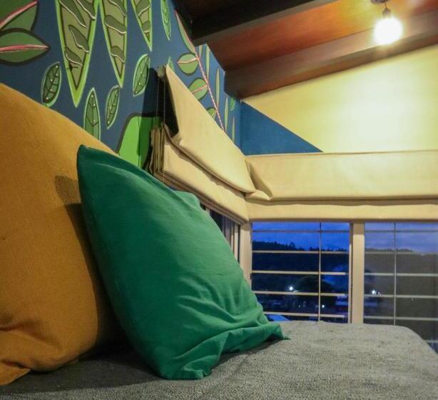 四人标准间, Hostel House Casa De Los Pájaro