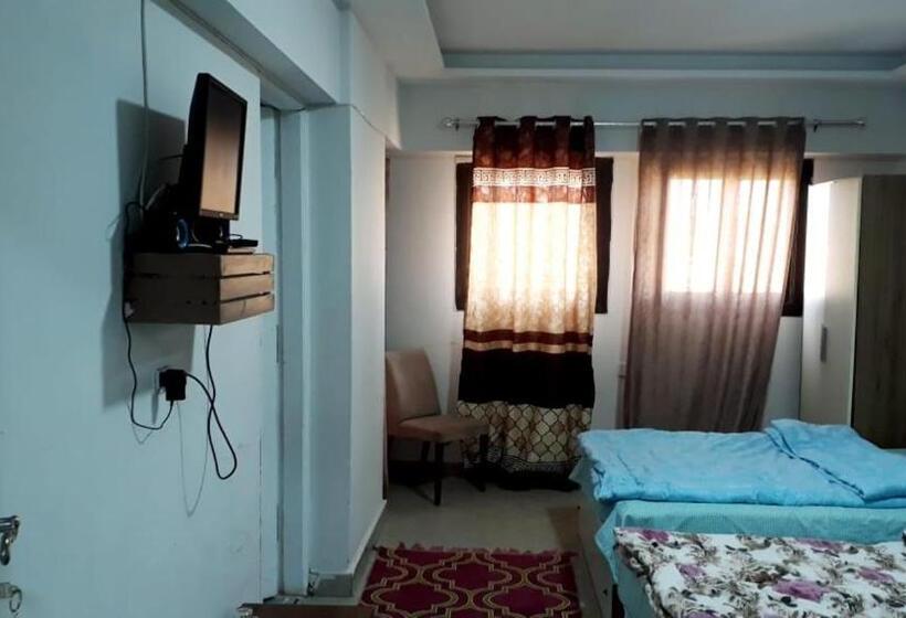 اتاق استاندارد, Giza City