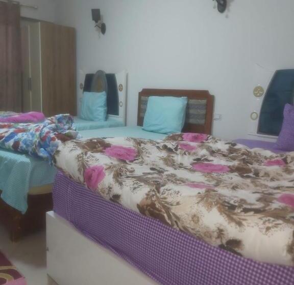 اتاق استاندارد سه نفره, Giza City