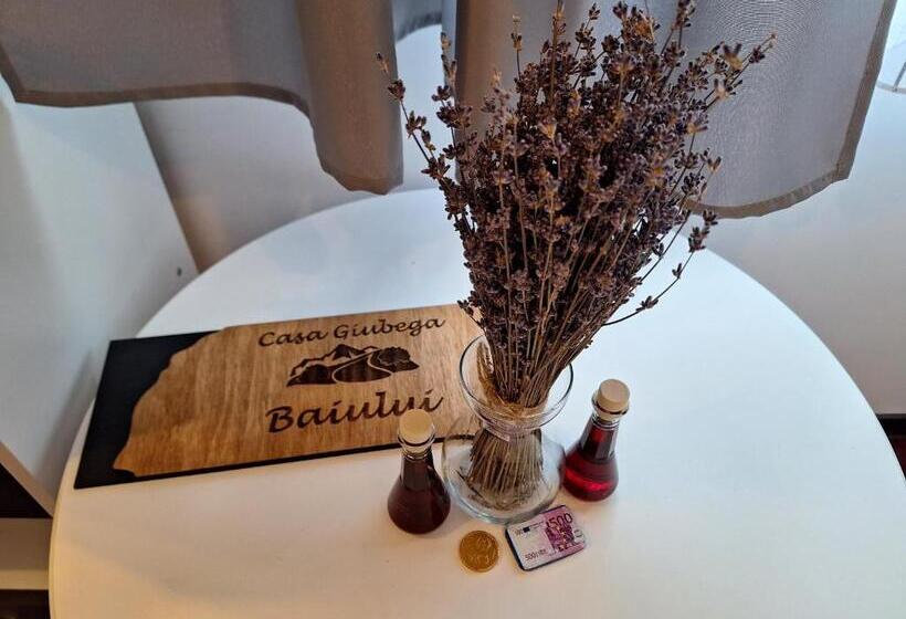 Номер Стандарт, Casa Giubega