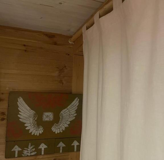 اتاق اکونومی, Stebucklas