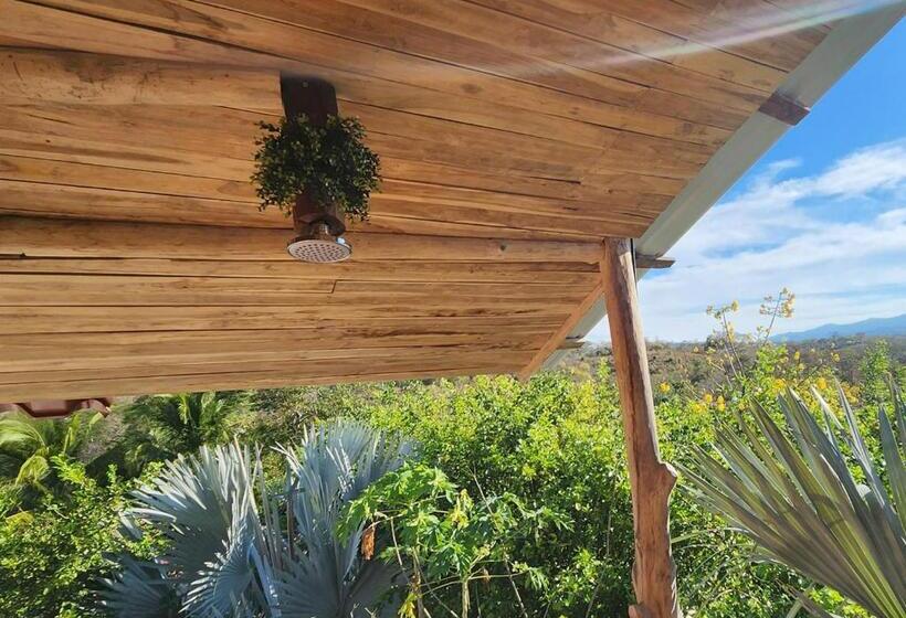 غرفة قياسية مطلّة علي البحر, Liberali