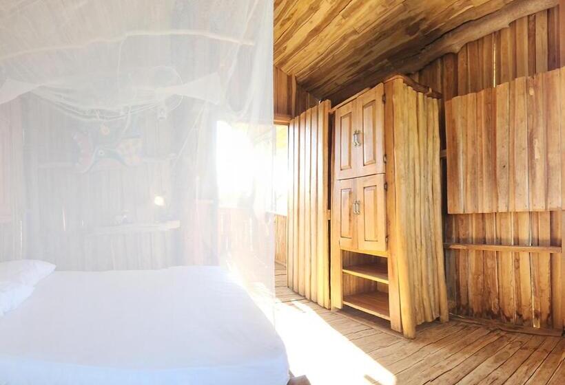 غرفة قياسية مطلّة علي البحر, Liberali