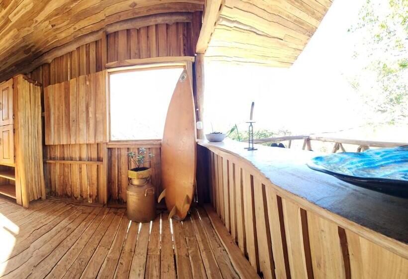 غرفة قياسية مطلّة علي البحر, Liberali