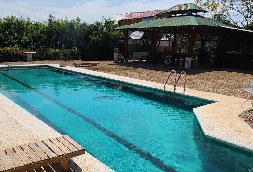 غرفة قياسية, Liberali